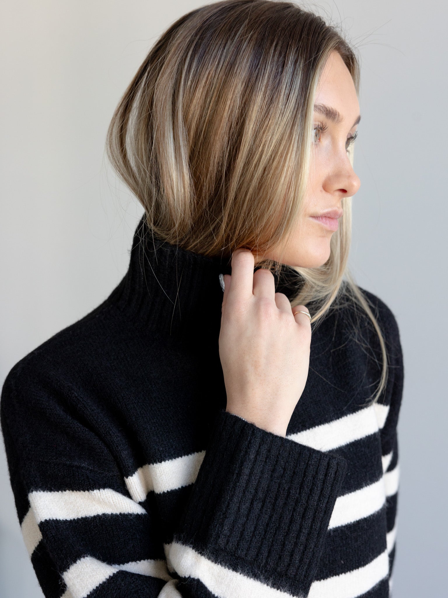 Stripe Turtle Neck Sweater
