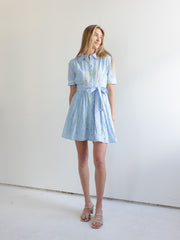 Madi Collared Mini Dress