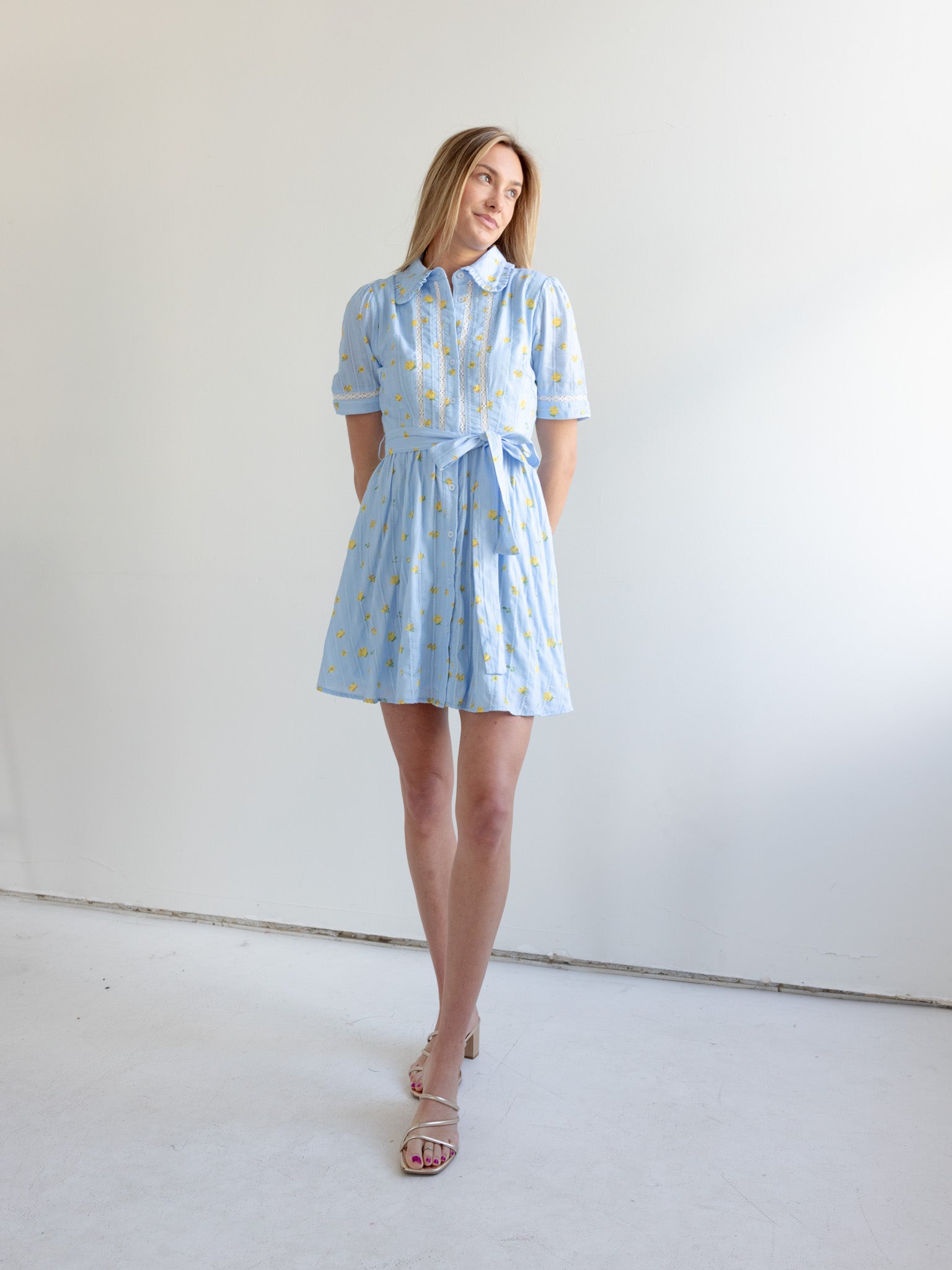 Madi Collared Mini Dress