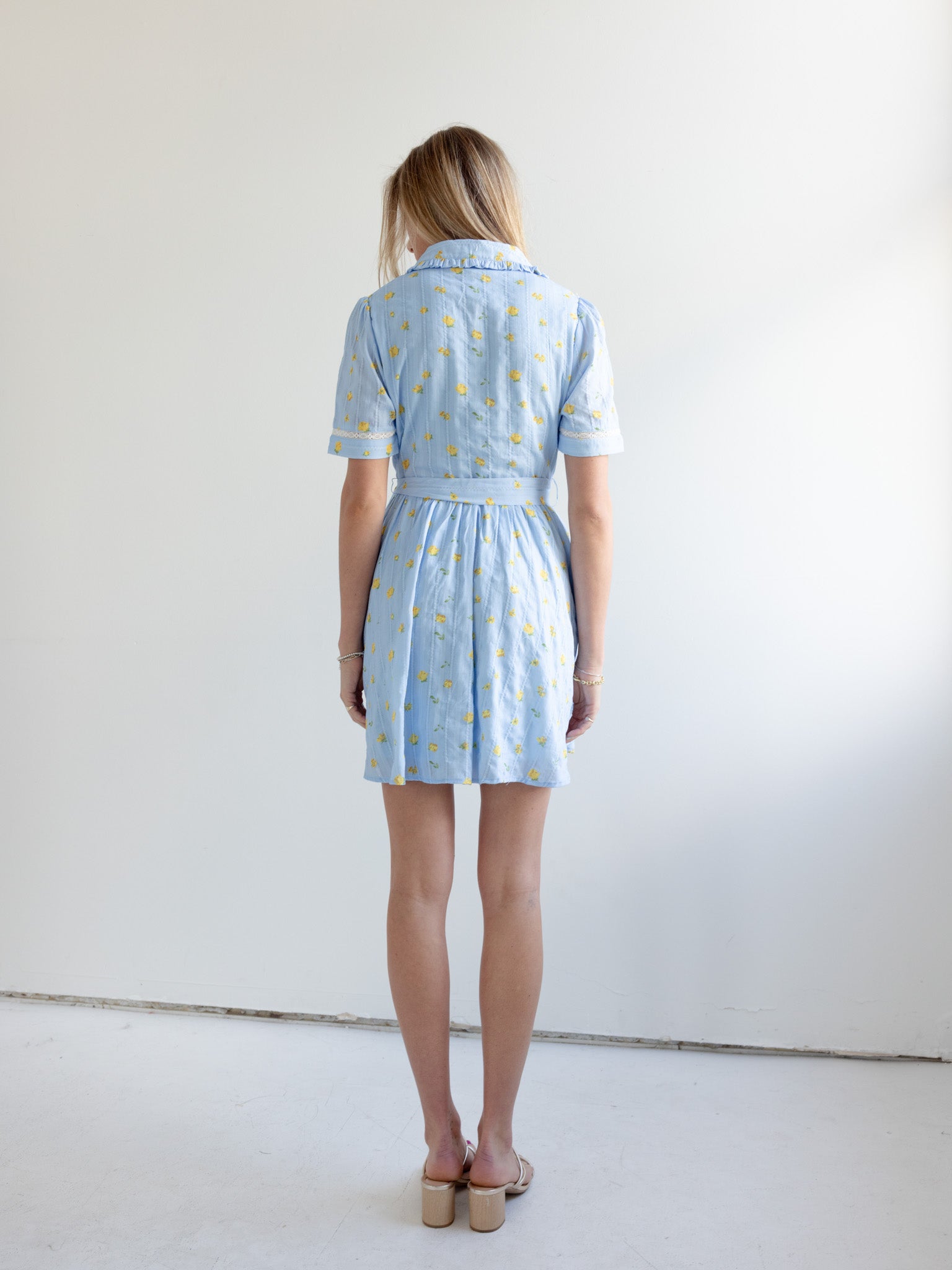 Madi Collared Mini Dress